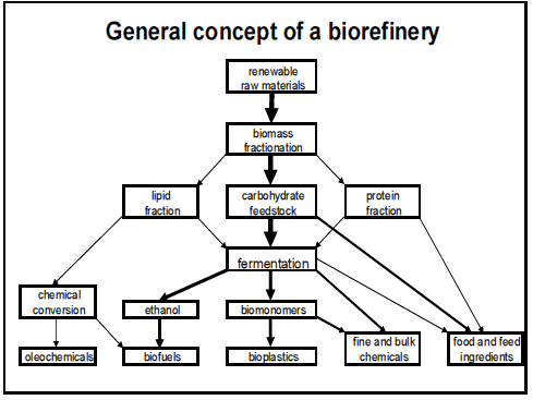 'Example of  Biochemical -Sugar Platform', Prof. Wim Soetaert, Univeriteit Gent