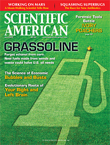 Grassoline: Biofuels beyond Corn - Scientific American, July 2009