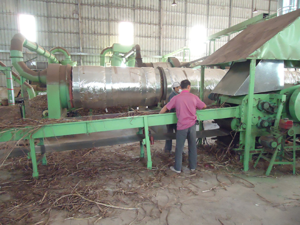 Dried Giant King Grass being fed into cutters